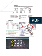 Capitulo III Desarrollo