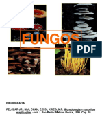 Fungos Micro Ambiental