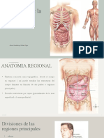 2.2 Principales Estructuras Anatomicas