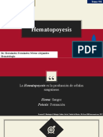 Hematopoyesis - Castro - Boussart - Mauricio - 903