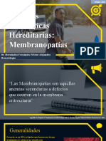 Membranopatías - Castro - Boussart - Mauricio - 903