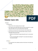 Vinnie Care 101