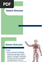 Sistem Sirkulasi