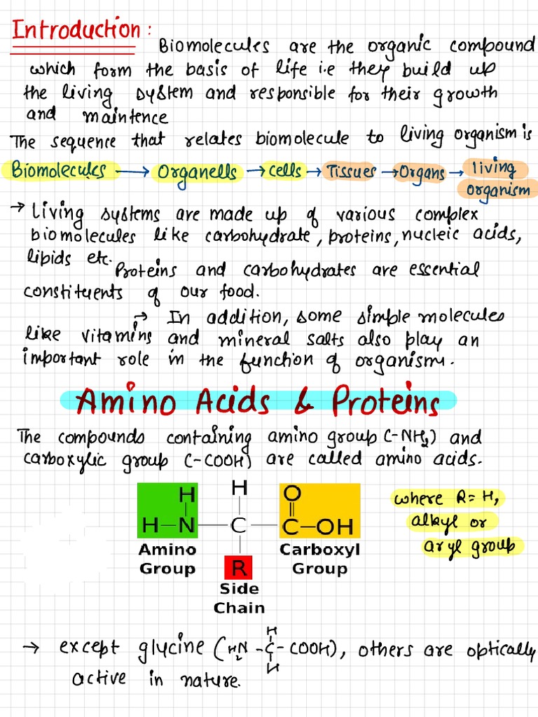 Biomolecules | PDF