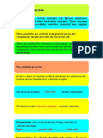 Bacterial Metabolism