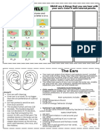 Notes and Activities On Health 2