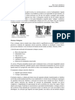 Tratamentos para escoliose: conservador x cirúrgico