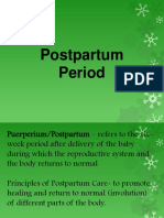 Postpartum Period 1