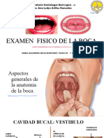 Examen Fisico de La Boca