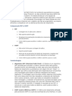 Definição, características e terminologia do OSPF