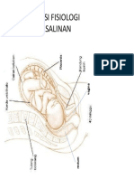 Adaptasi Fisiologi Persalinan Compress