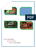 Investigación: ¿Qué Es Ayahuasca??: Elías Simbaña 13/ 12/ 2022 Ciencias Naturales