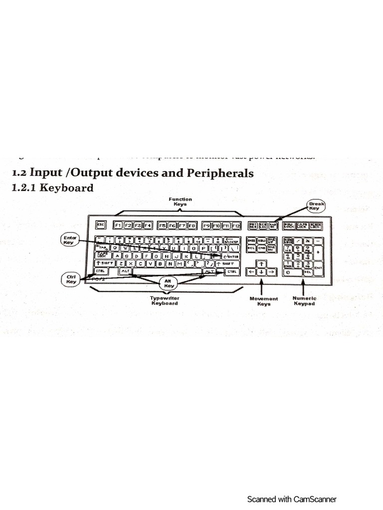 Input or Output Devices and Peripherals | PDF