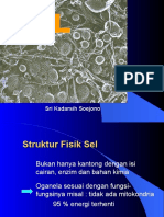 (6 Feb 2014) Prof. Dr. Sri K., Ph.d. - Fisiologi Sel