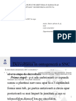 Particularitățile Anatomo-Fiziologice Ale Sistemului Nervos Central La Copii