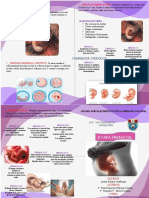 Etapa Prenatal