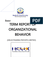 Ob Term Report