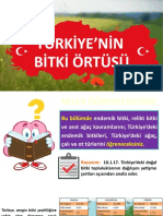 Türki̇ye'Ni̇n Bi̇tki̇ Örtüsü Kopyası