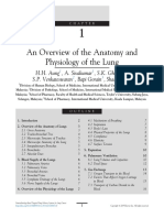 An Overview of The Anatomy and Physiology of The Lung