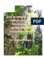 Guía Basica de Campo para Identif de Cedro - Chuquisaca PDF