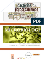 Antecedentes Historicos Microbiología