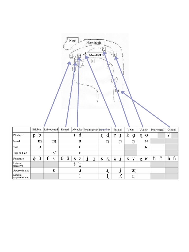 Транскрипція слова різдво