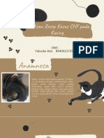 Yaksube Aziz - B9404221070 - Penulisan Resep Kasus CHF Pada Kucing