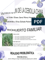 Diapositivas - Eliana Sarai Perez