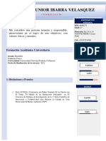 CV-Alfredo Ibarra 2022