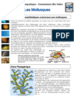 WP Contentuploads201111cours Biologie Marine Mollusques PPT Ligne PDF