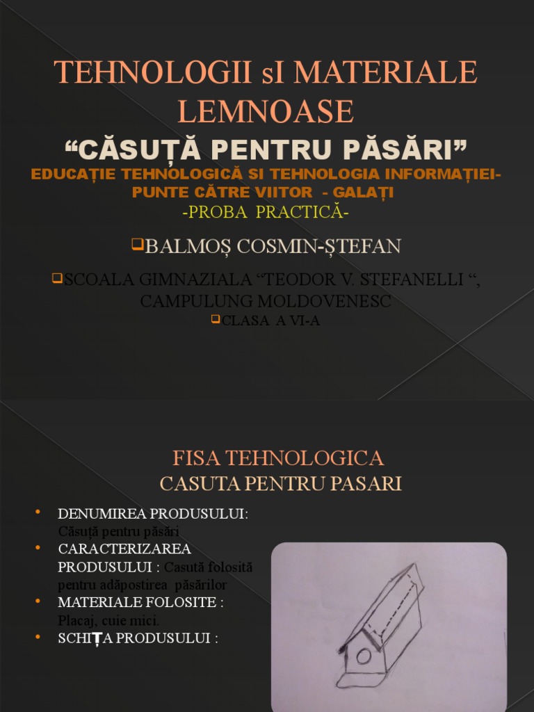Casuta Pasareletehnologii Si Materiale Lemnoase | PDF