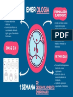 Mapa Mental 1 Semana