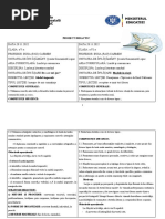 Proiect v-VI Simultan Final