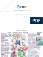 Anatomia y Fisiologia Del Sistema Respiratorio 134328 Downloable 2115187