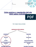 Clase Ciclo Ovárico