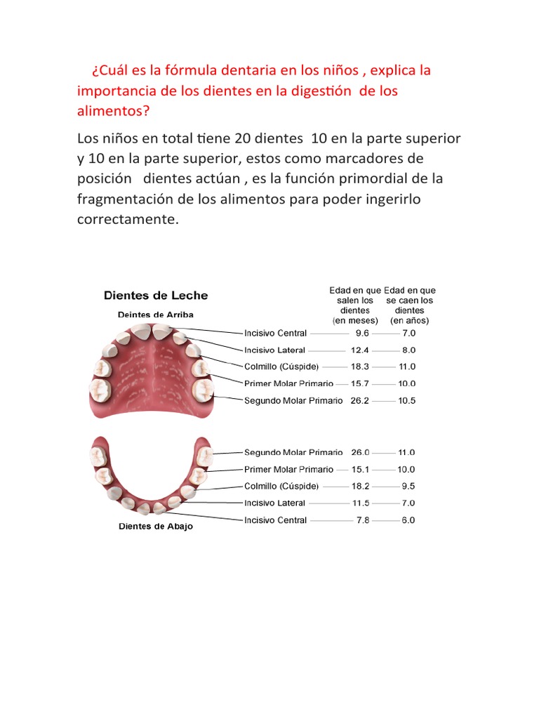 Cu l es la f rmula dentaria en los ni os pdf