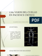 Usg Vasos Del Cuello en Pacience Critico