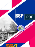 BSP Hub