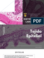 Tejido Epitelial