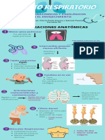 Infografía Aparato Respiratorio Paralelo 20