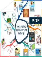 2.3.enfermedades Transmitidas Por Vectores. Paludismo, Denguez, Zika - Chikunguya.chagas