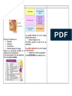 Anatomia Via Respiratoria