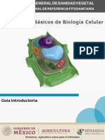 Conceptos Básicos de Biología Celular