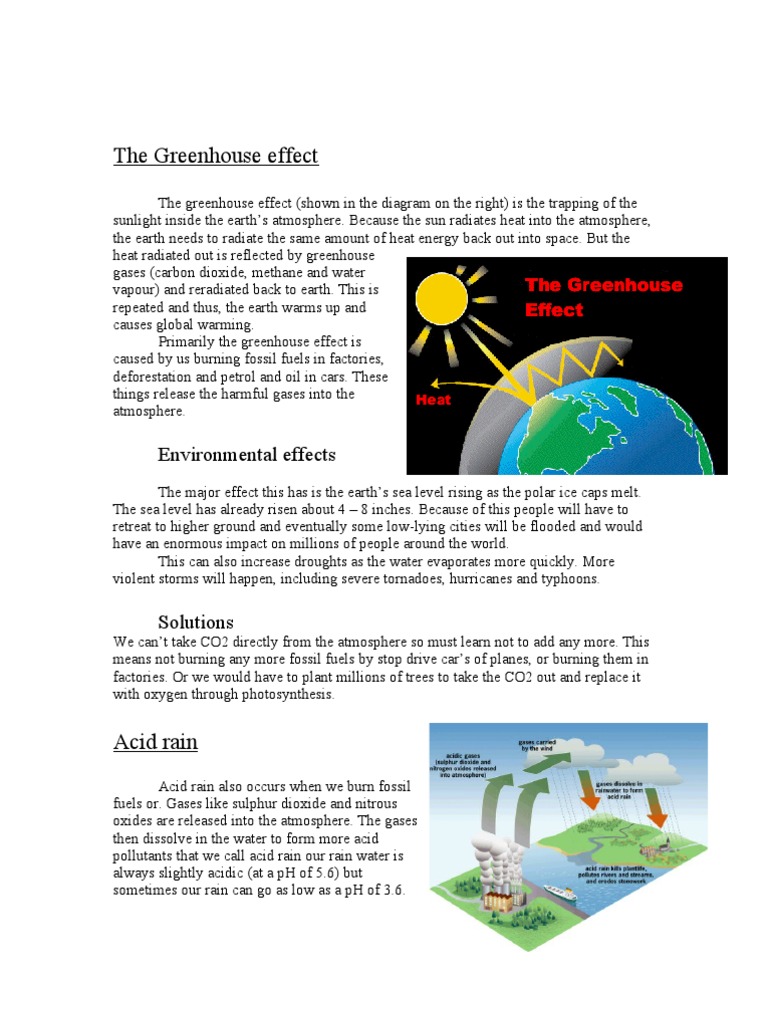 The Greenhouse Effect | PDF | Greenhouse Effect | Carbon Dioxide
