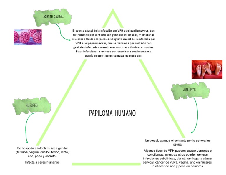 Triada Ecologica | PDF