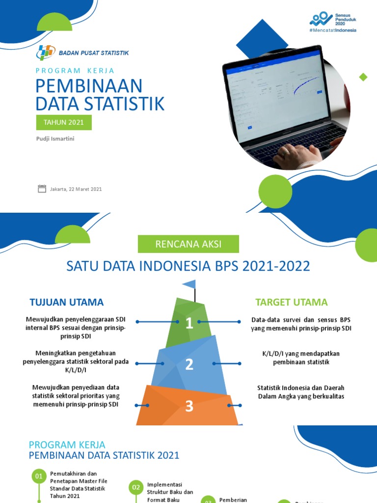 Program Kerja Pembinaan Data Statistik | PDF