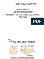 White and Gray Matter