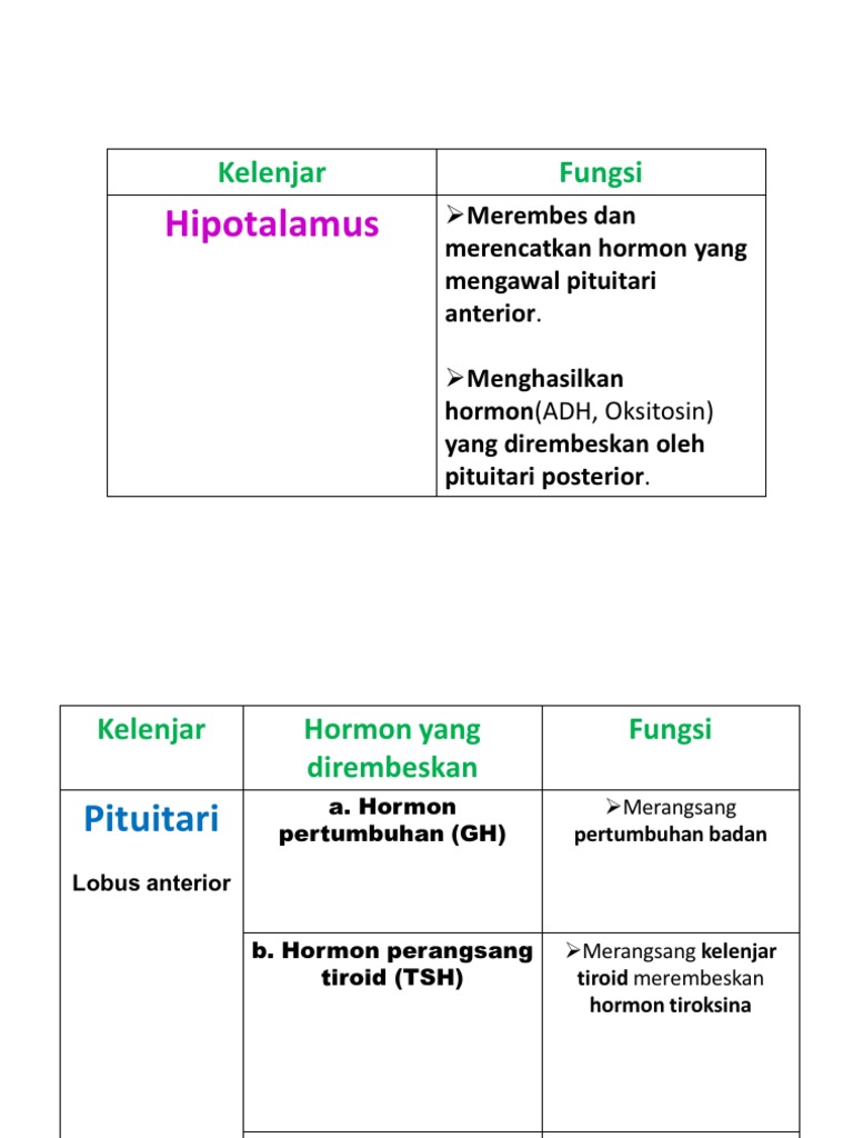 Pjm Sistem Endokrin Pdf