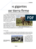 Los Gigantes de Tierra Firme