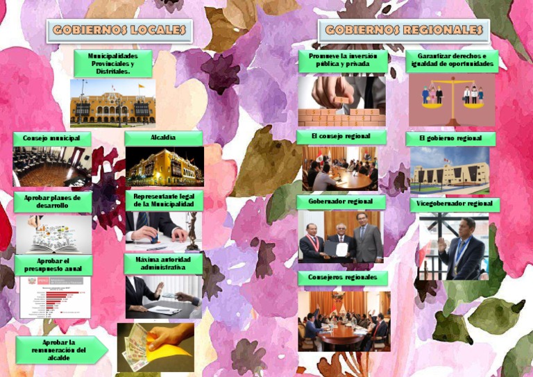 Funciones de Gobiernos Locales y Regionales | PDF